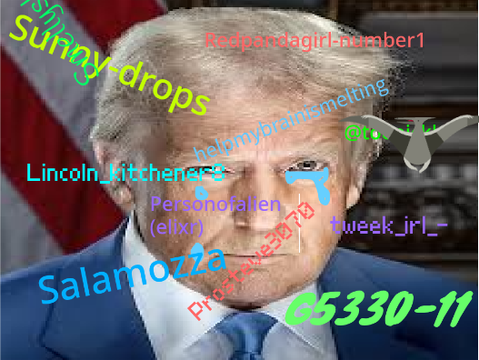 sign if trump SUCKS!!! remix remix remix
