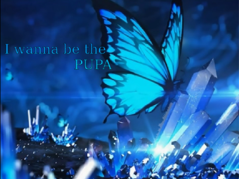 I wanna be the PUPA