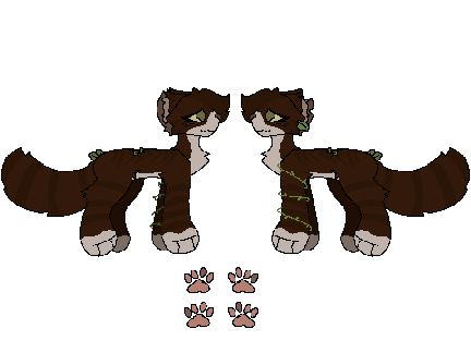 new wc oc