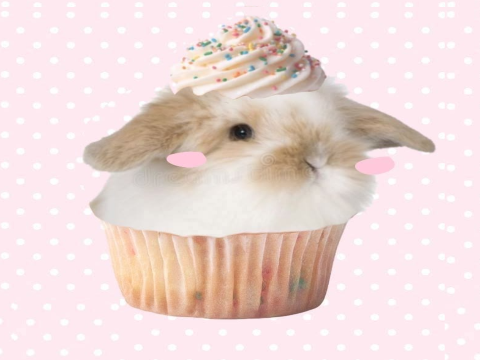 # sweets dta resultss ⋆˚꩜｡໒꒱
