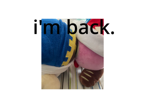 im back, explaining my inactivity