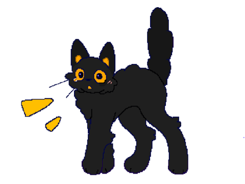 Cato