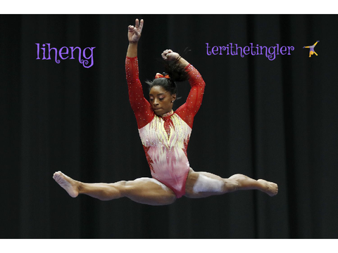 Sign if you love gymnastics! remix