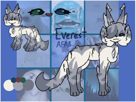"the queen of snow and ice" Everest's bio 