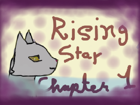 Rising Star Ch.1 TNE