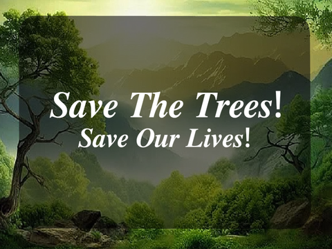 ⸙ Save The Trees! ⸙