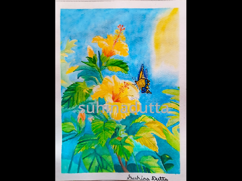 Hibiscus Watercolour Drawing