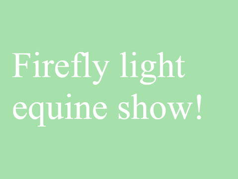 Firefly light equine show 