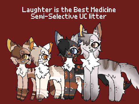 Closed! “Laughter is the Best Medicine” - SS UC Litter
