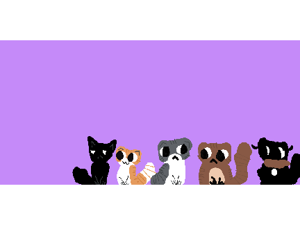 all my cats(only 2)