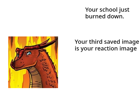 your school just burned down your third saved image is your reaction. remix remix remix remix… remix