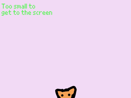 Cat!