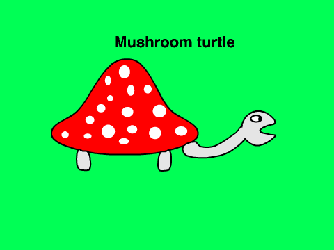 Mushroom turtle