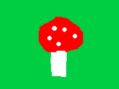 Fungi
