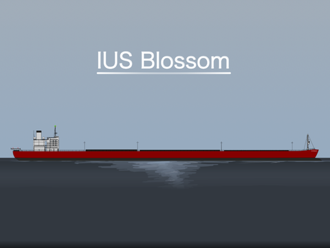 AL Blossom Class LCC