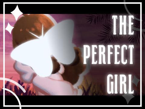 The Perfect Girl 》Animeme ┊Commission