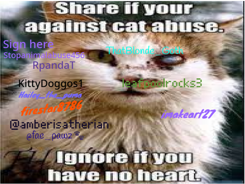 sign here if you cant stand animal abuse   remix remix remix remix remix remix remix remix