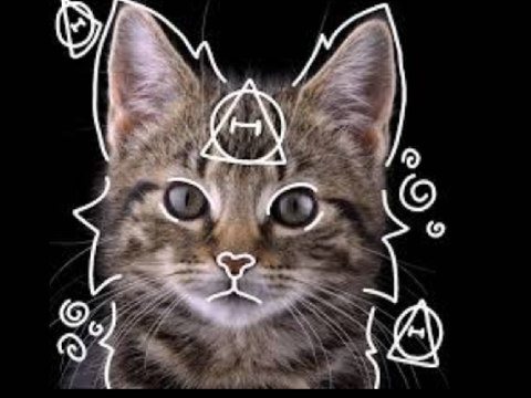 My Cat Therian Vocals (remix)