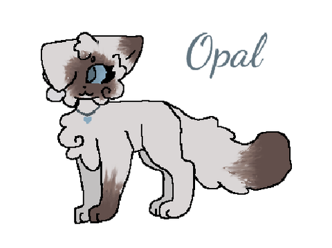 My OC/ About me