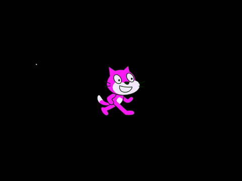 weird scratchcat