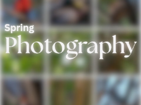 Spring Photography