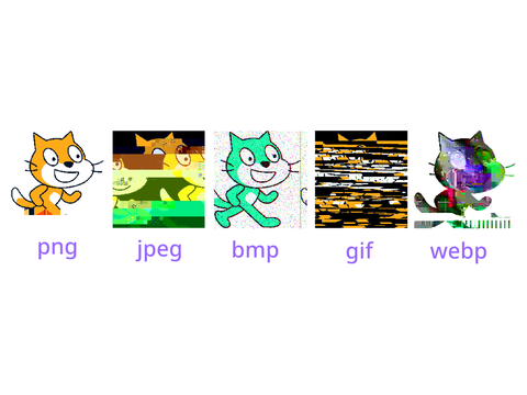 Different types of image corruption