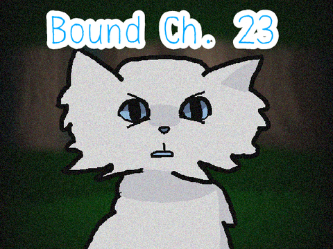 Bound Chapter 23 TNE