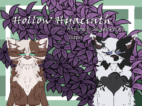 Hollow Hyacinth: closed shadowclan litter