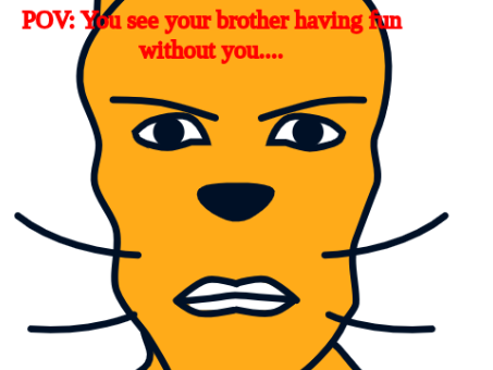 1st  