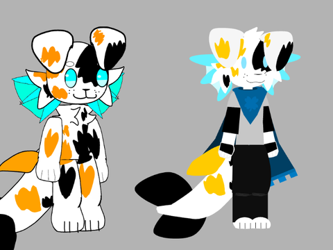 kairo redesign
