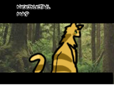 Needletail TNE entry!