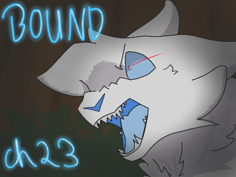 Bound Chapter 23 TNE