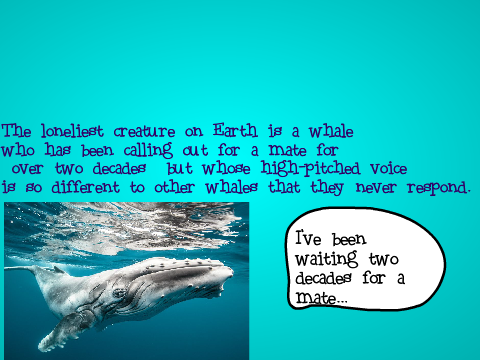 25 Astounding Facts