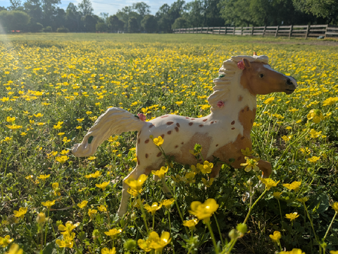 Custom Model Horse: Palomino Pintaloosa