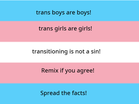 facts about trans ppl remix remix