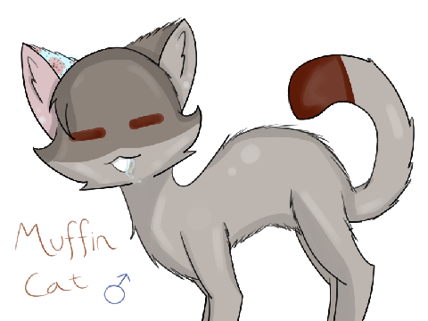 Introducing Muffin Cat!