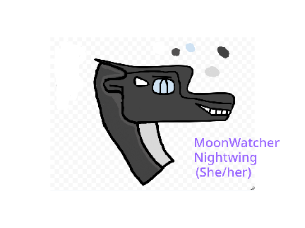 MoonWatcher