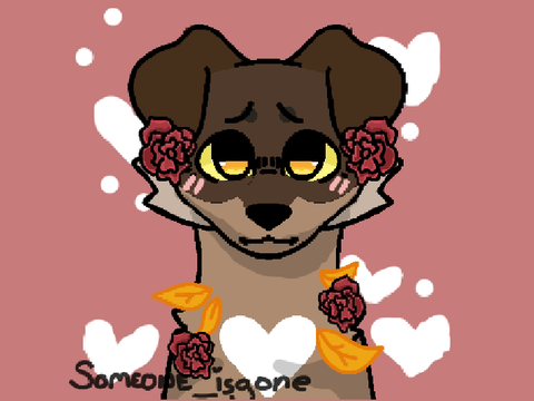 CANINE OCS!!