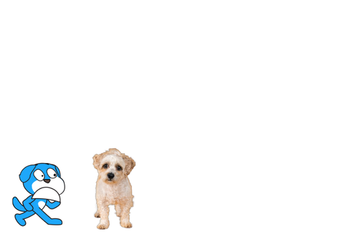 I’m 