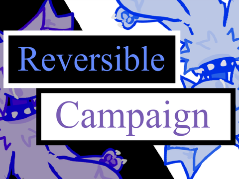  Reversible Campaign fake collab