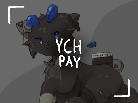 YCH Payment
