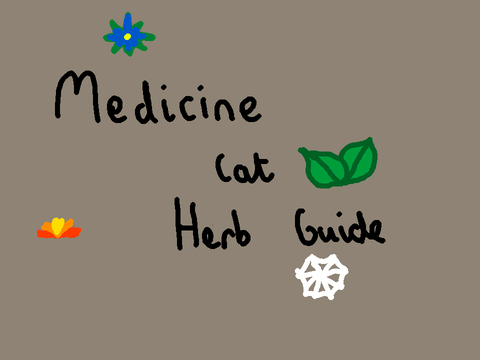 Medicine cat herb guide