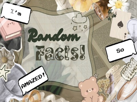 ❐❑ 15 ⓡⓐⓝⓓⓞⓜ facts ❑❐