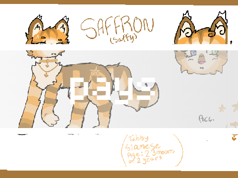 ・୨୧ ✫ saffron || ᴘᴀʏꜱ ✫ ୨୧・