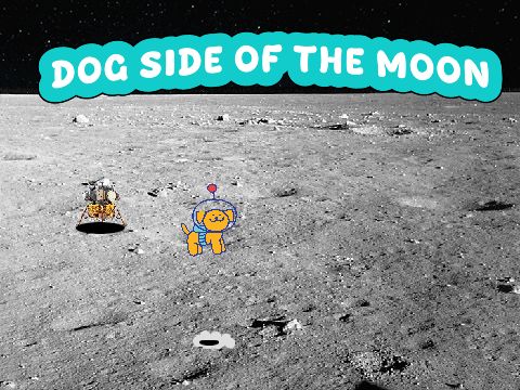 Dog Side of the Moon #animation interactive