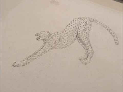 Entry - It's A Cheetah