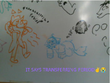 SCHOOL WHITEBOARD ART DUMP