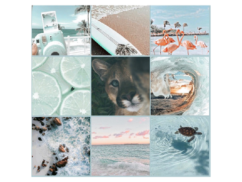 Mood boards 4 DT w/ Super :D
