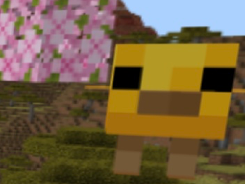 ANOTHER New Series???
