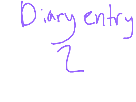 Diary entry 2